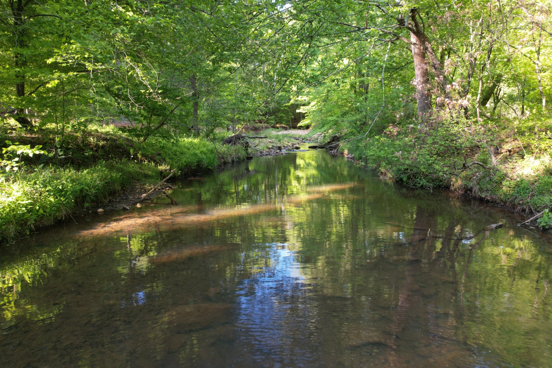 0 Webster RD - Photo 29