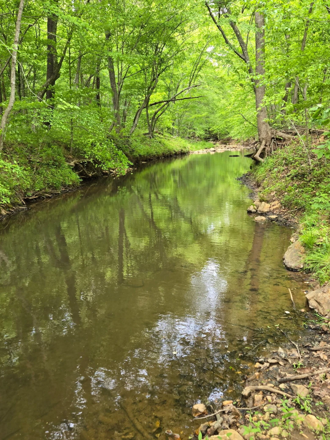 0 Webster RD - Photo 3