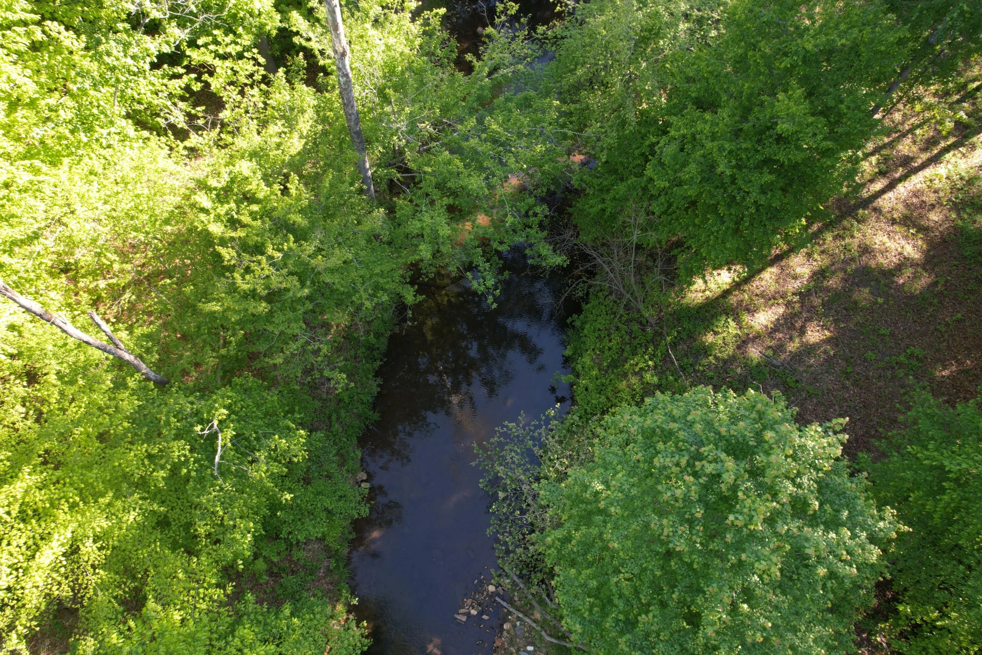 0 Webster RD - Photo 32