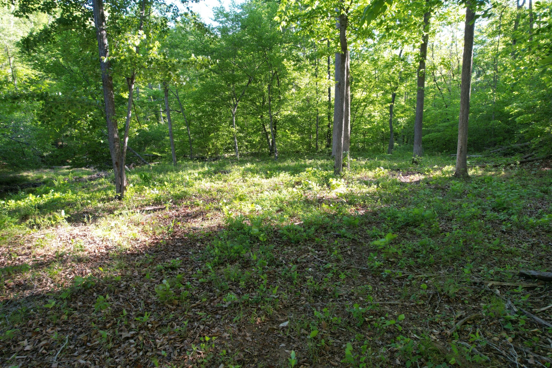 0 Webster RD - Photo 35