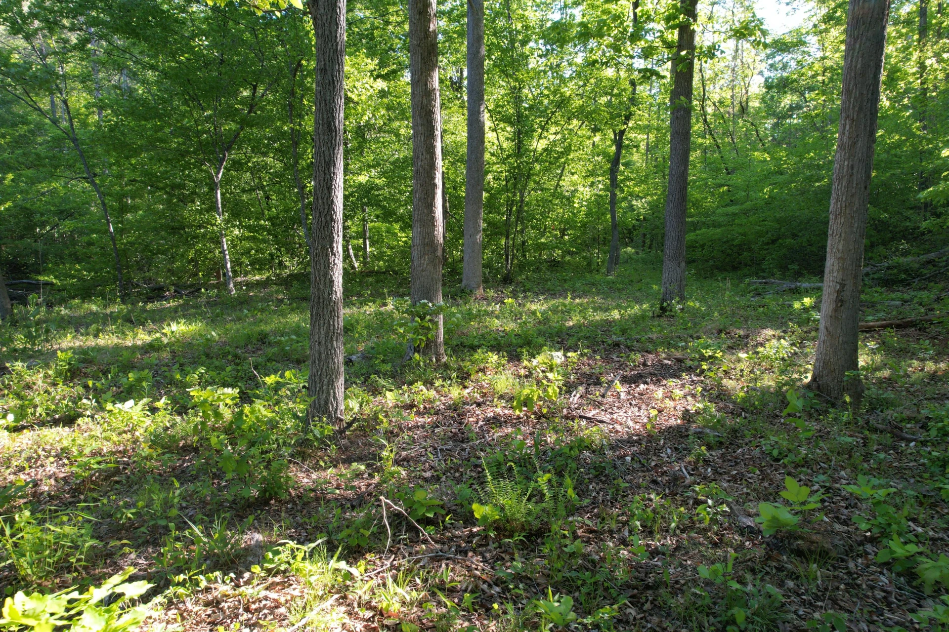 0 Webster RD - Photo 36