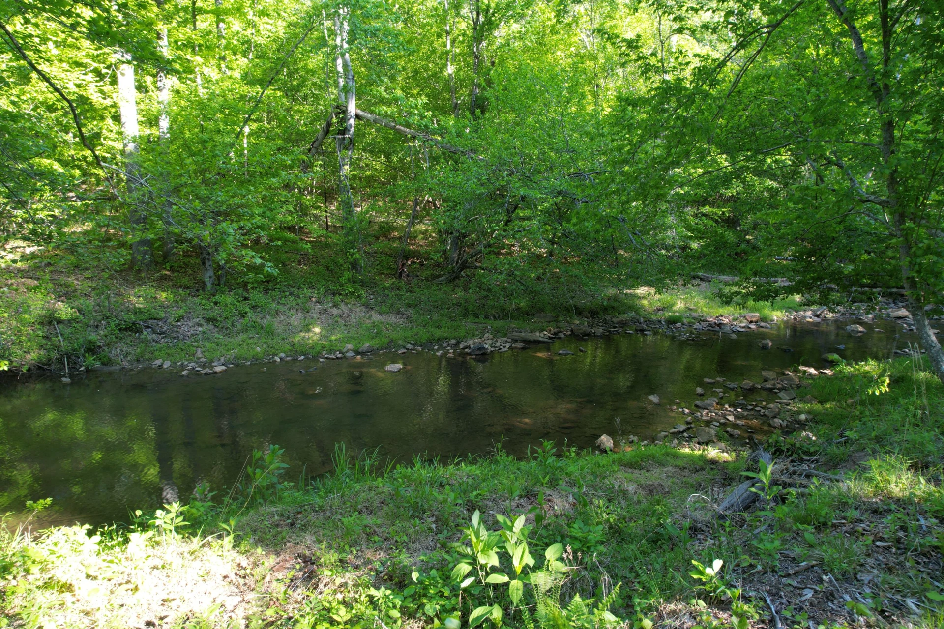 0 Webster RD - Photo 37