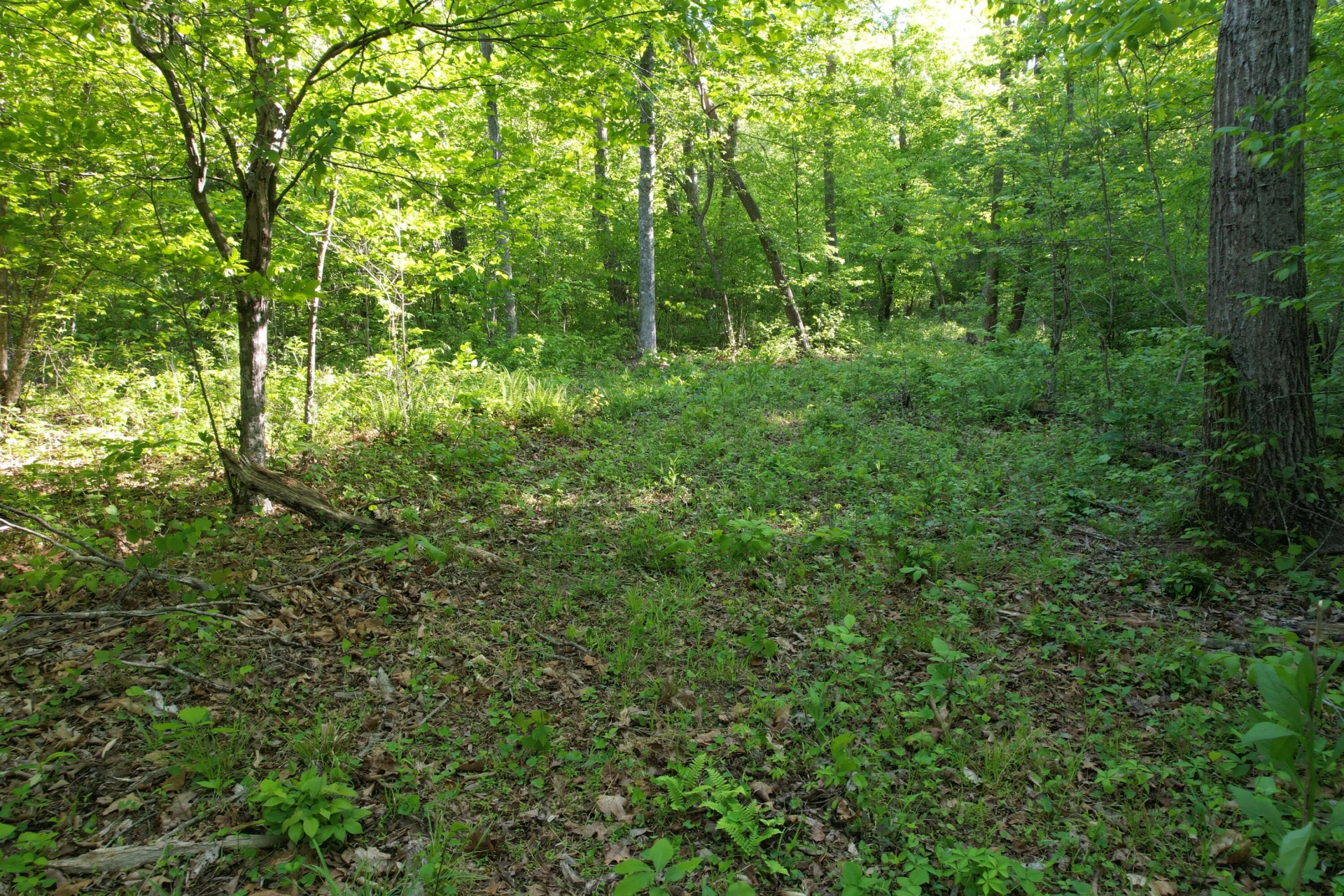 0 Webster RD - Photo 38
