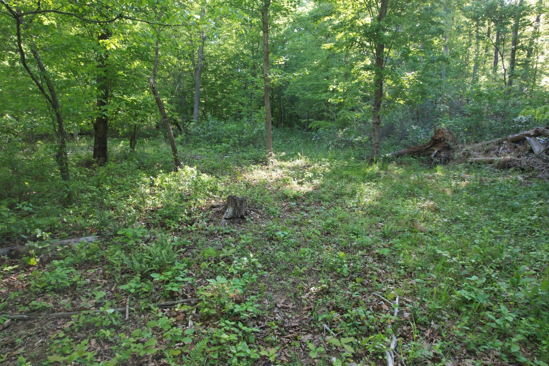 0 Webster RD - Photo 39
