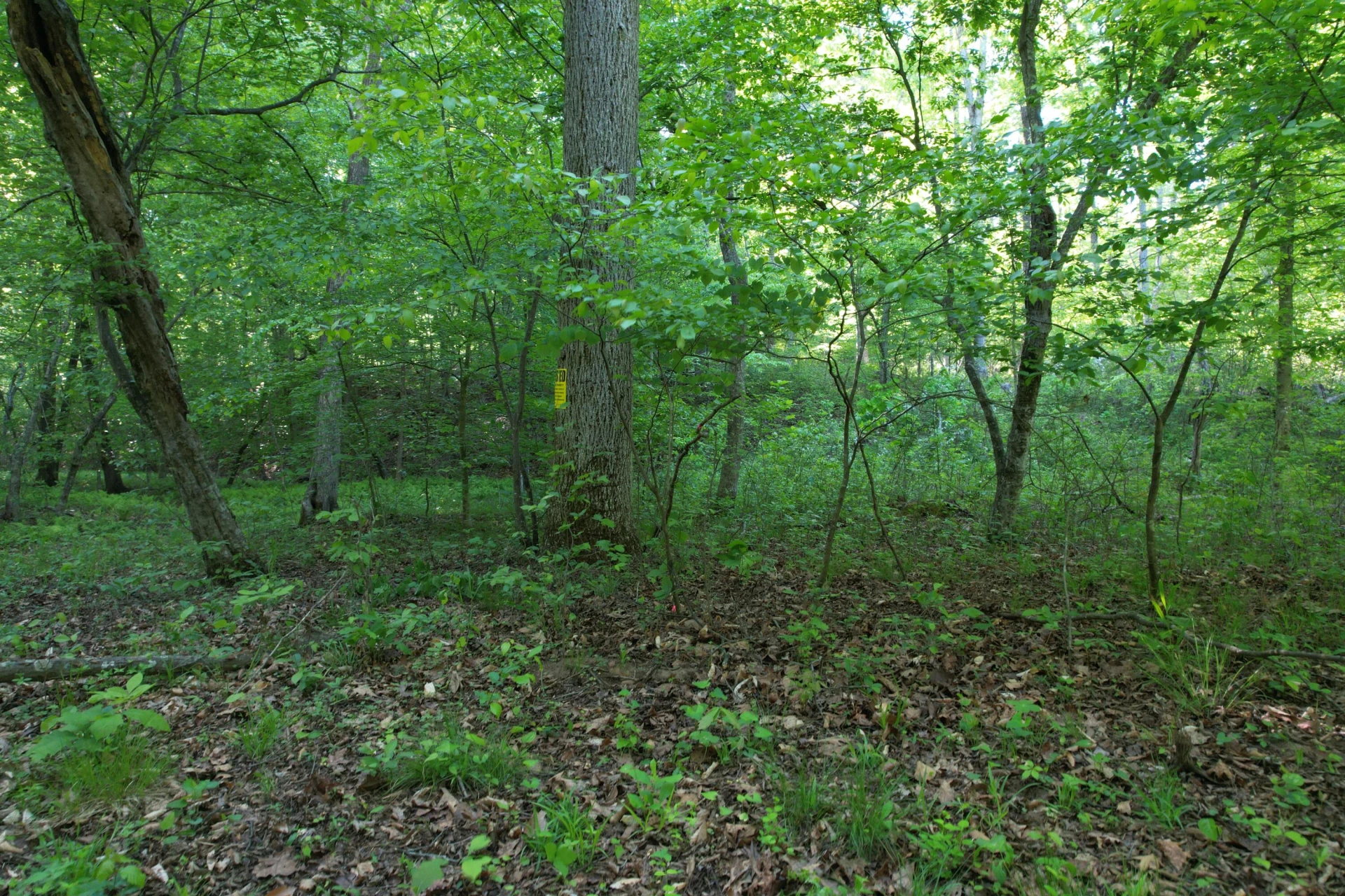 0 Webster RD - Photo 40