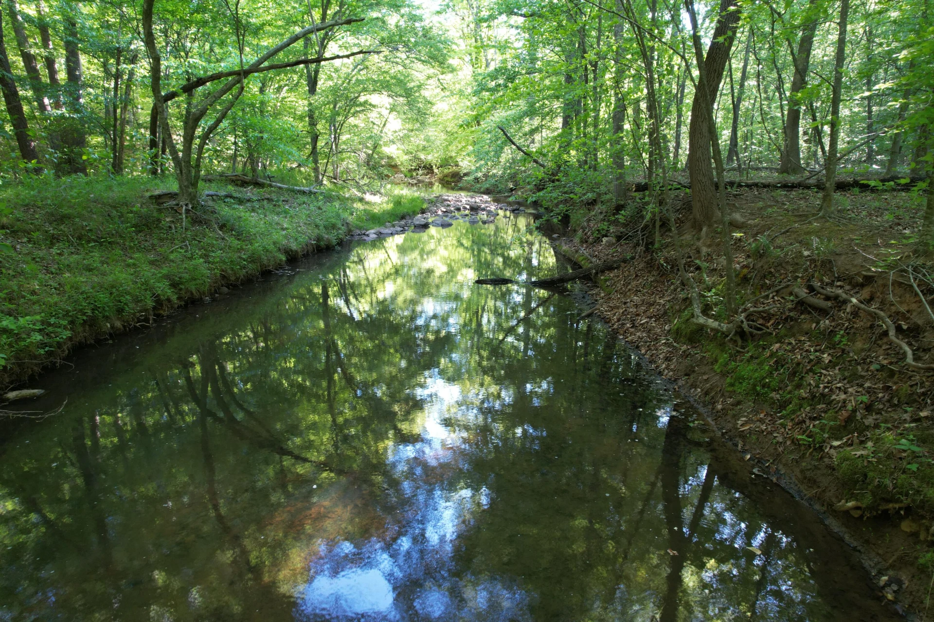 0 Webster RD - Photo 41