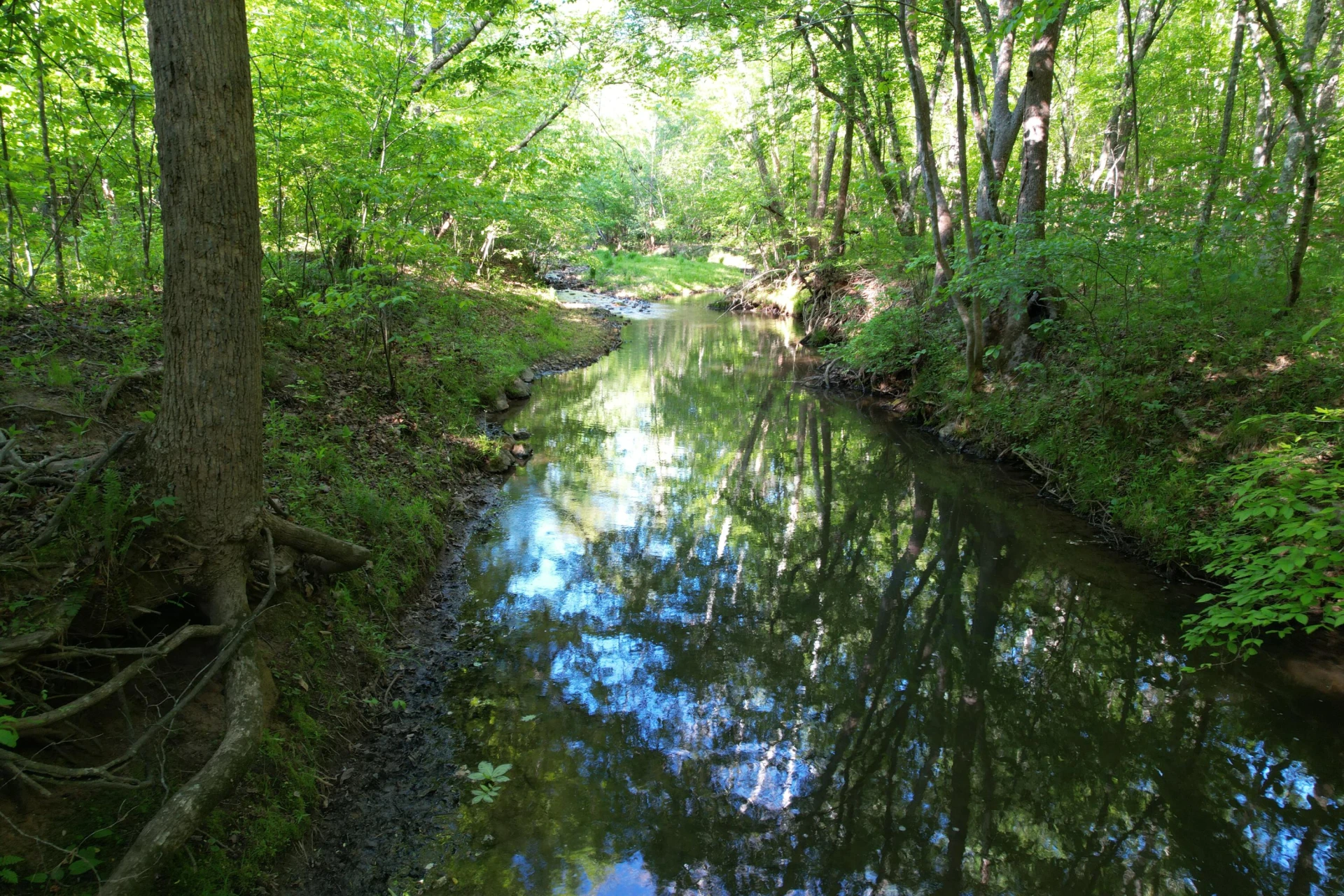 0 Webster RD - Photo 42