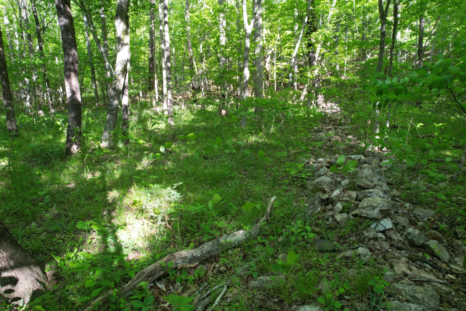0 Webster RD - Photo 43