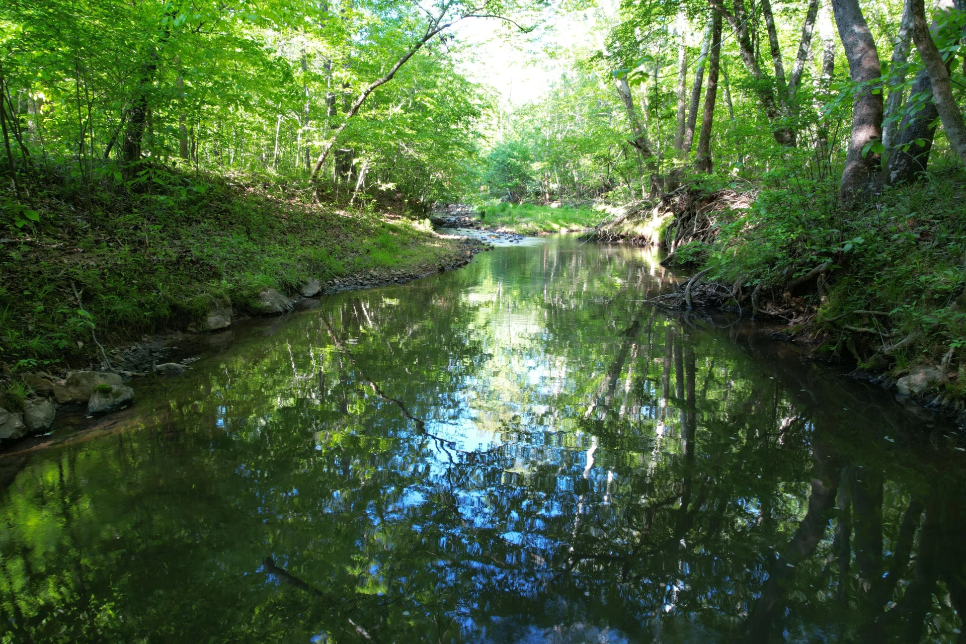 0 Webster RD - Photo 44