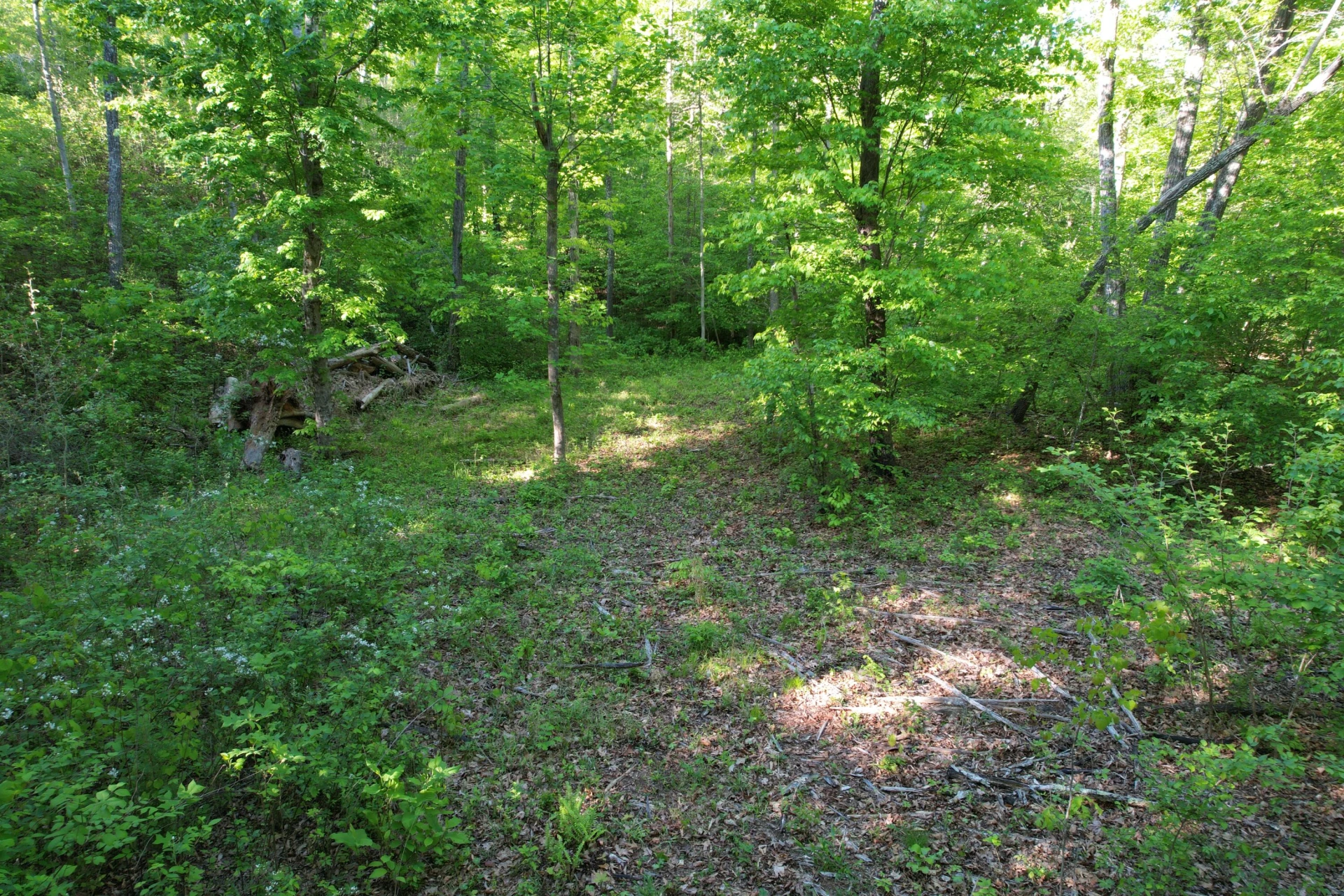 0 Webster RD - Photo 45