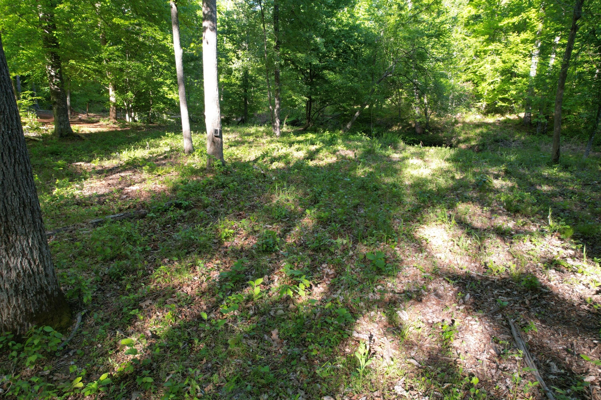 0 Webster RD - Photo 46