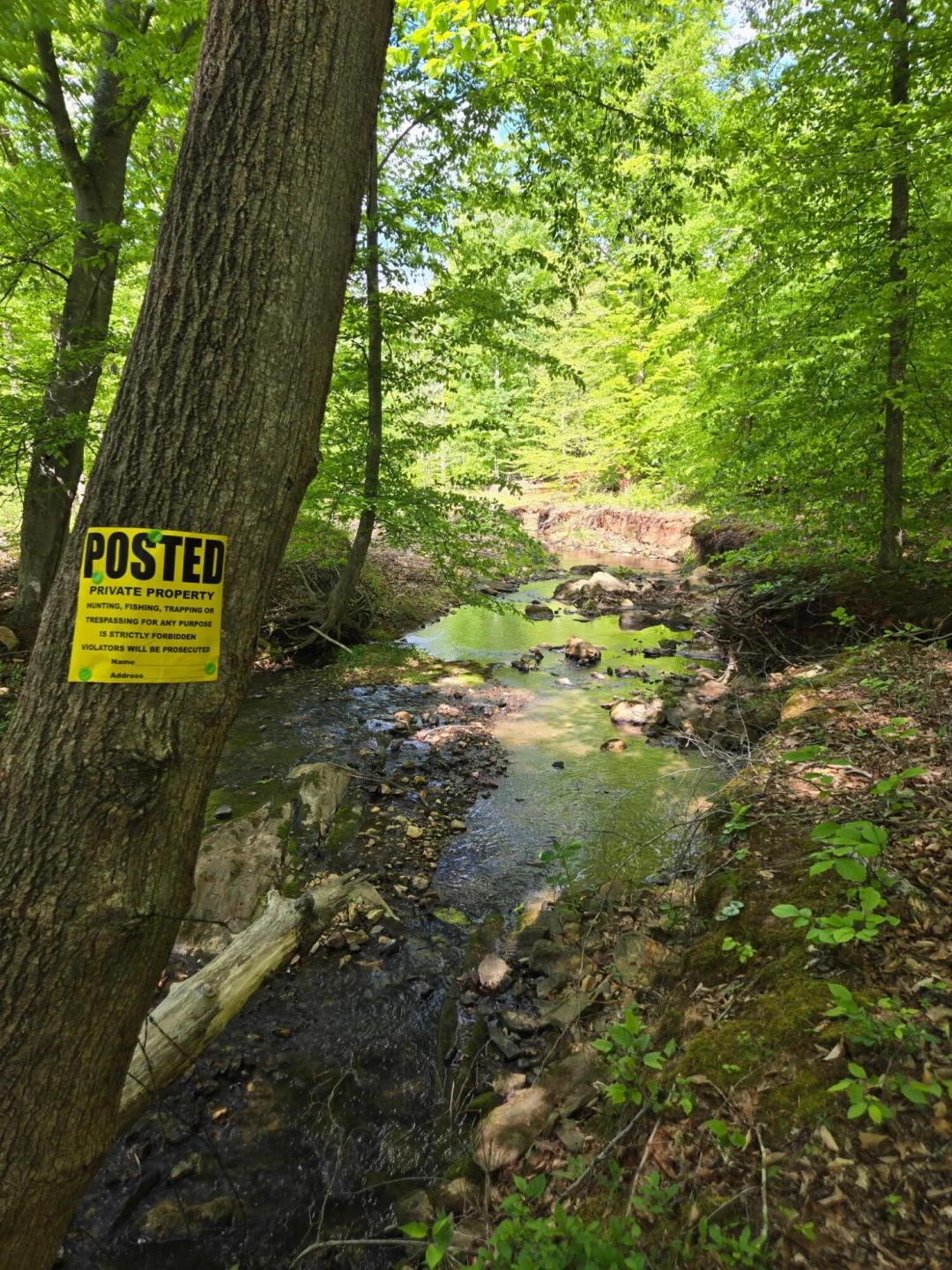 0 Webster RD - Photo 47
