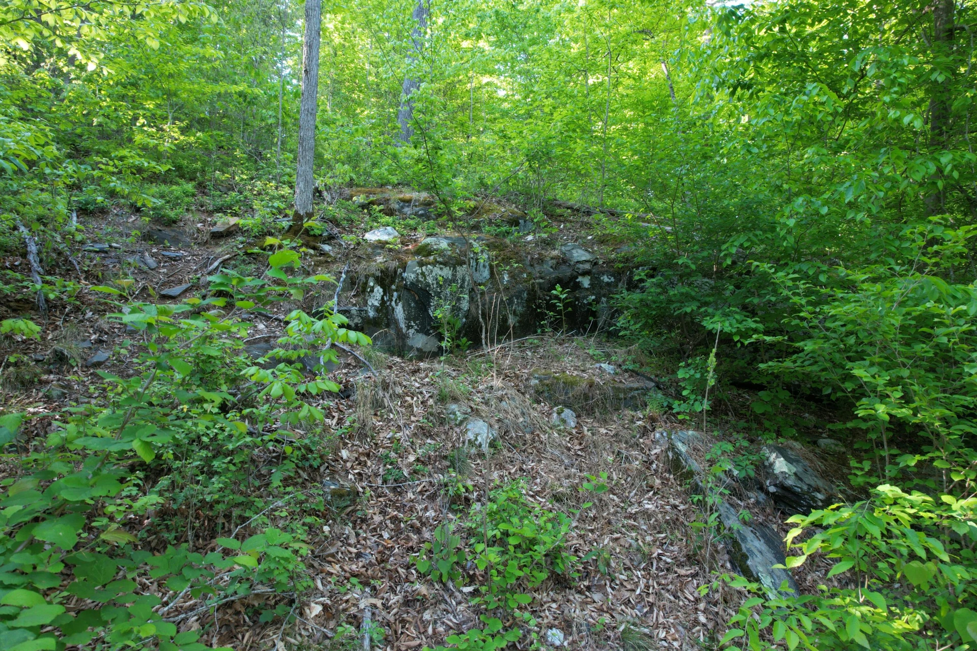 0 Webster RD - Photo 48