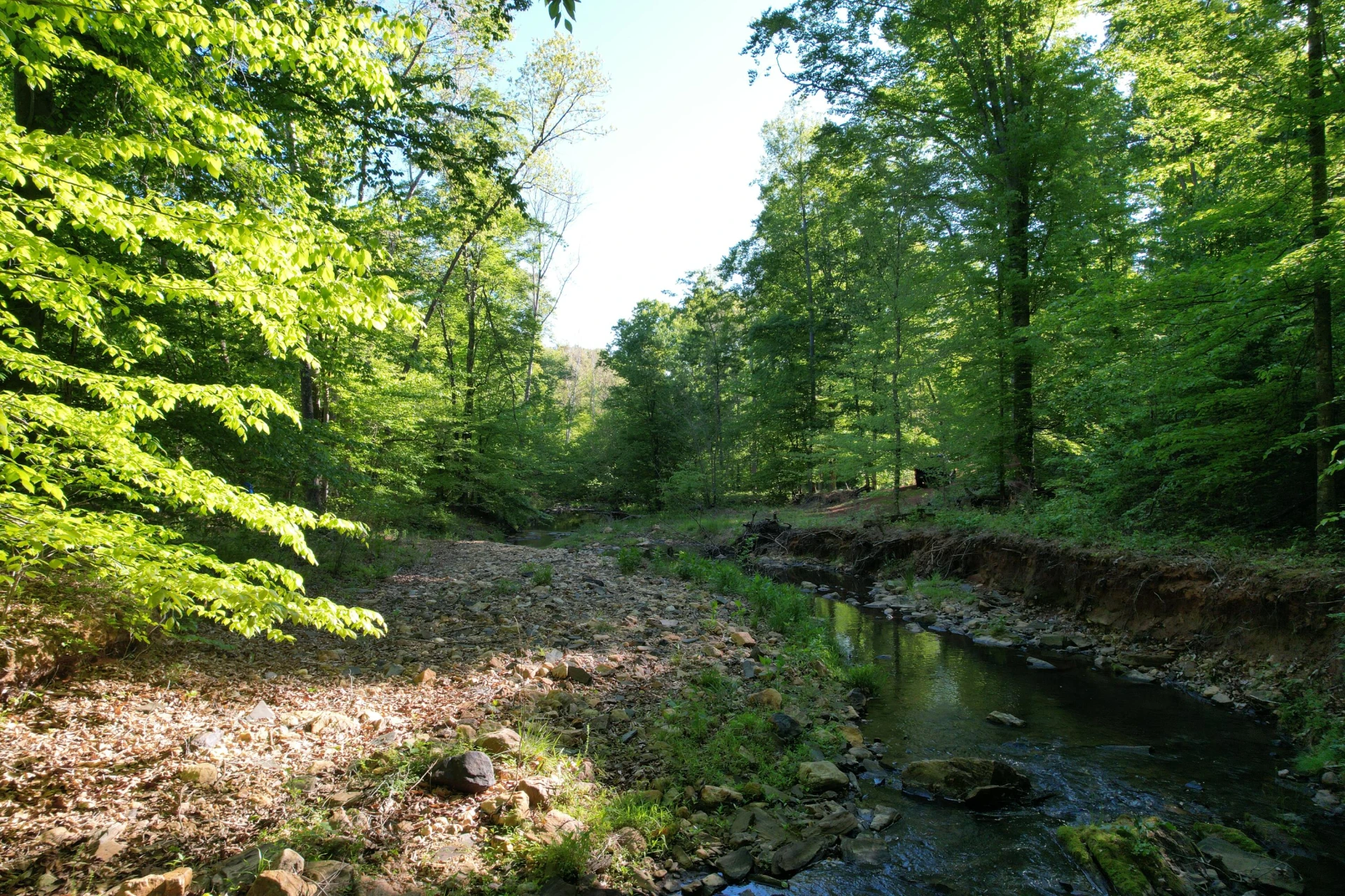 0 Webster RD - Photo 49