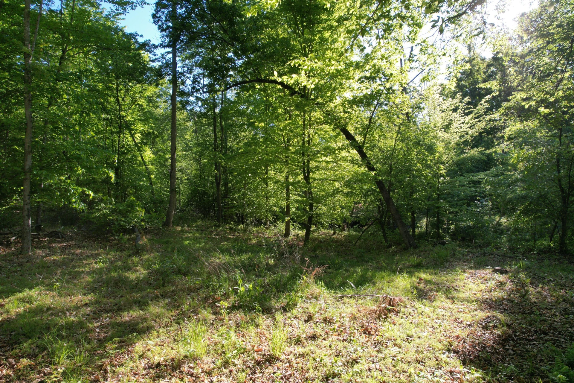 0 Webster RD - Photo 50