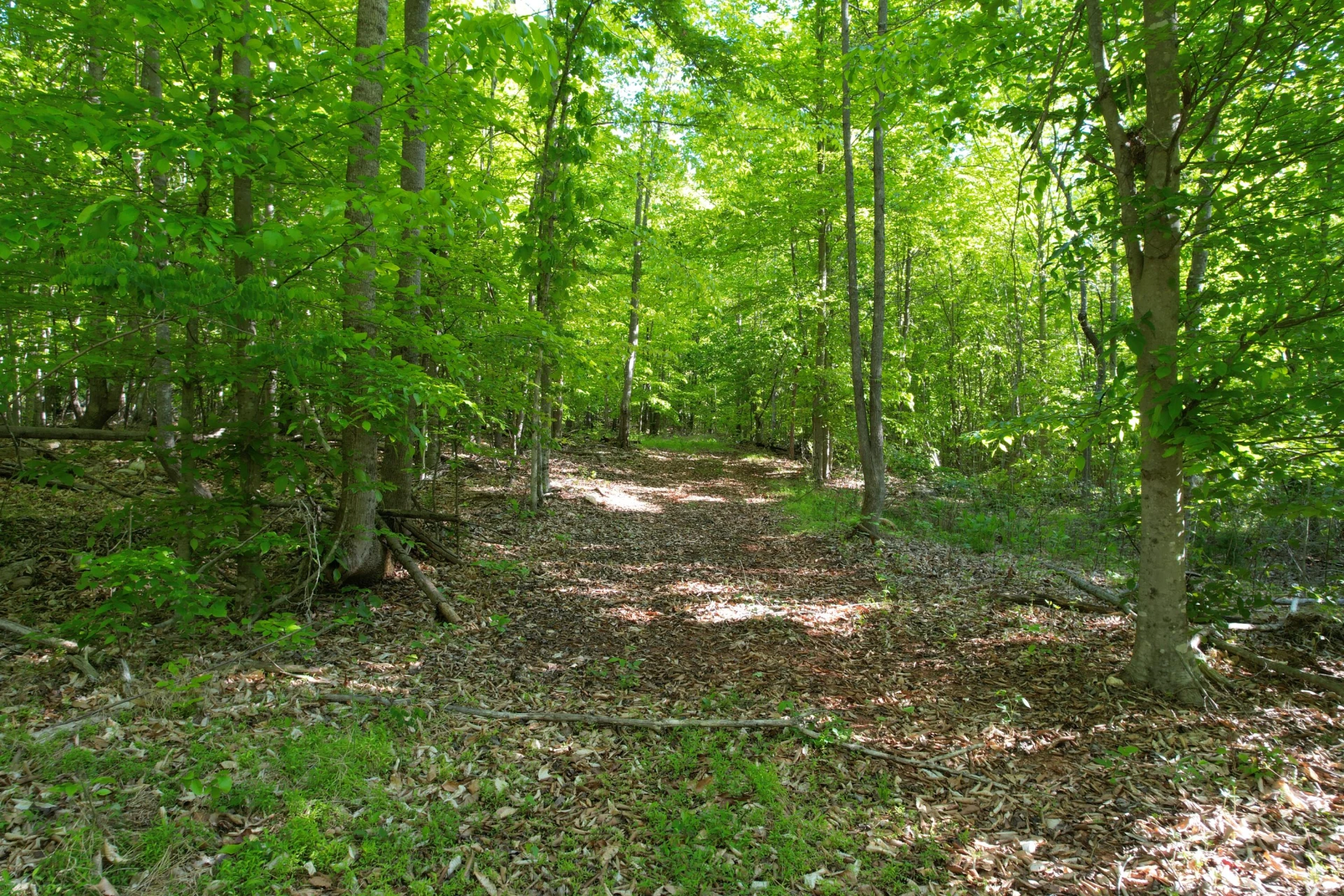 0 Webster RD - Photo 51