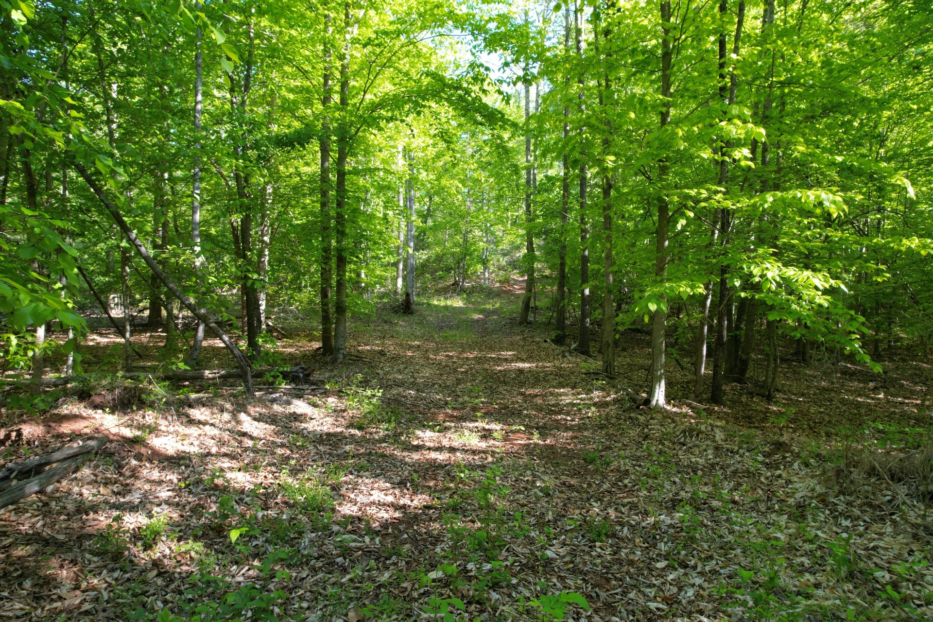 0 Webster RD - Photo 52