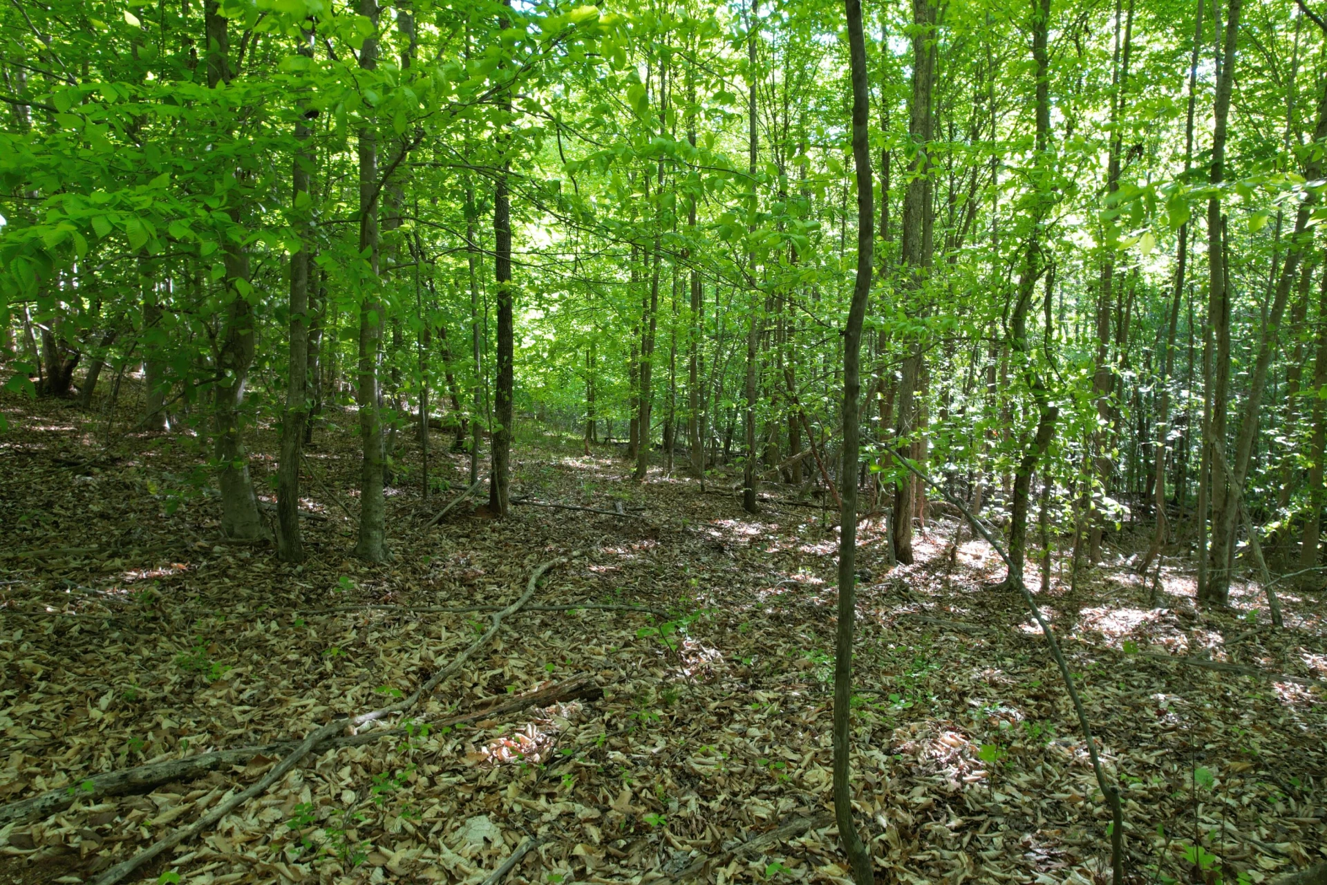 0 Webster RD - Photo 53