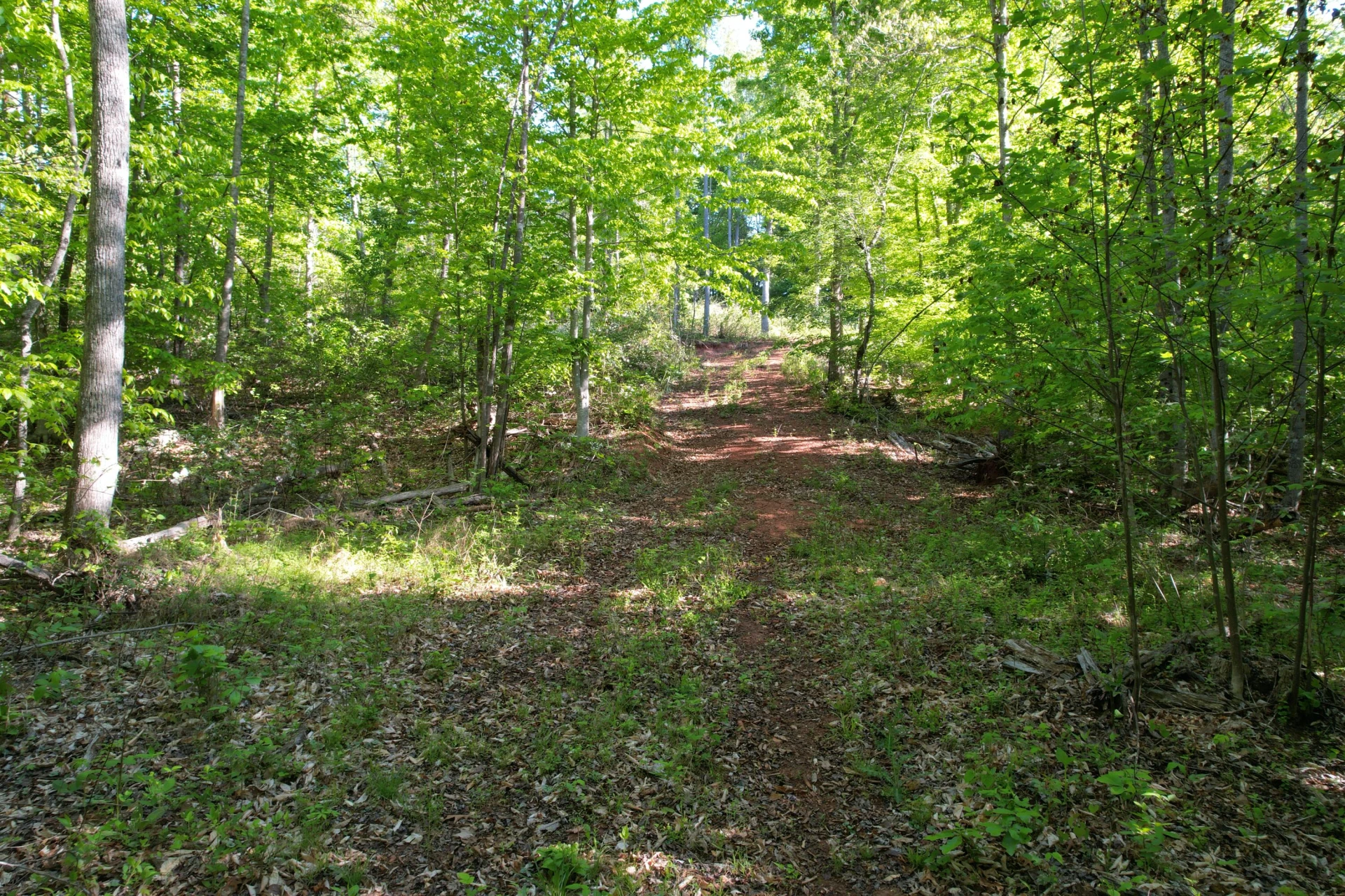 0 Webster RD - Photo 54