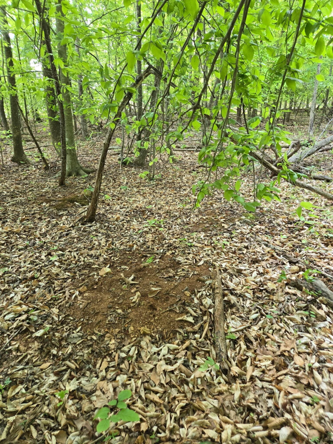 0 Webster RD - Photo 55