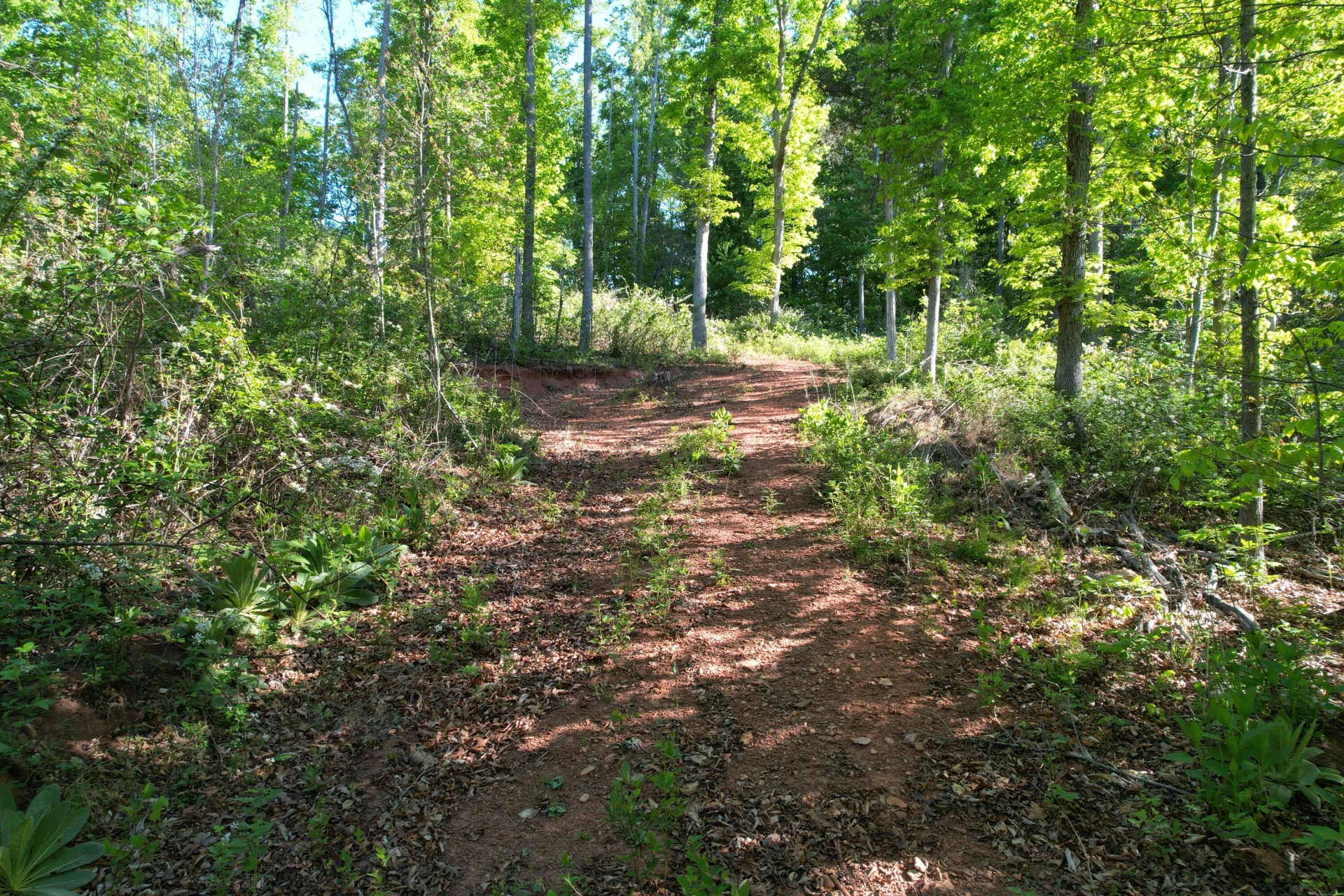 0 Webster RD - Photo 56