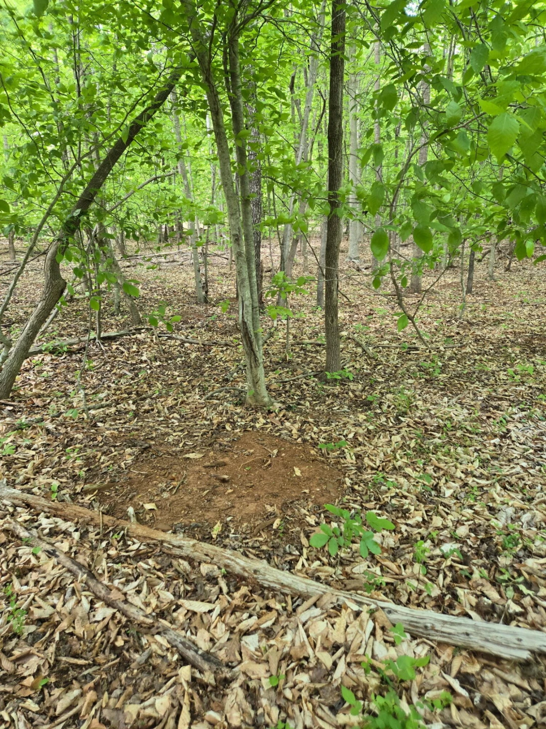 0 Webster RD - Photo 57
