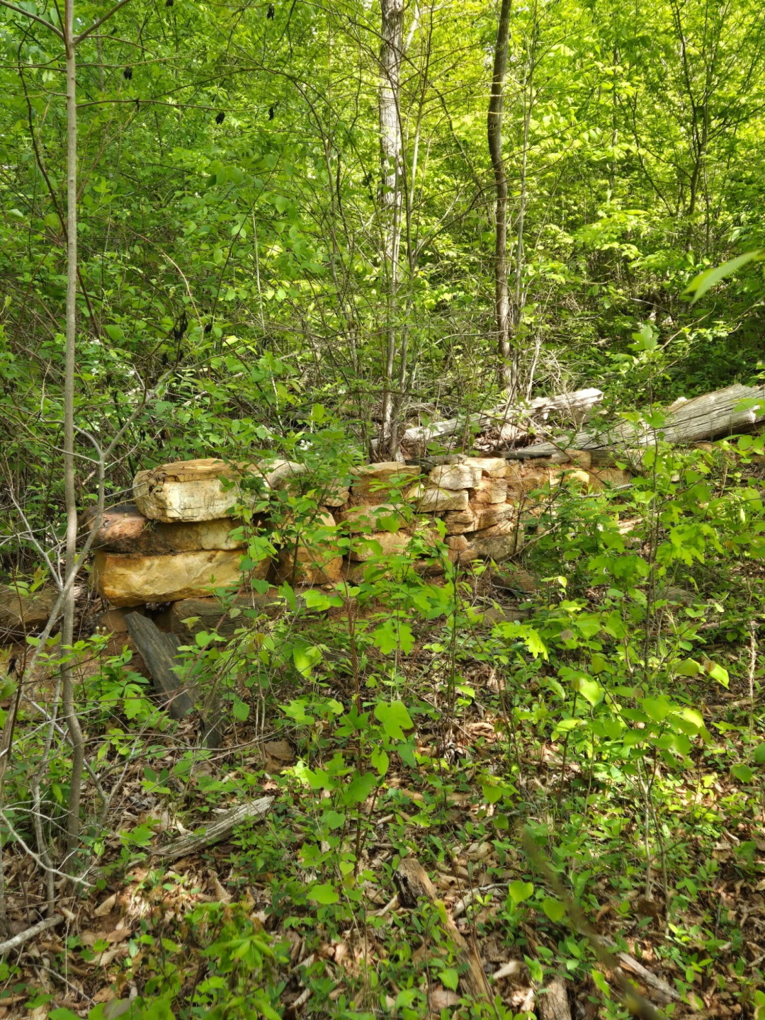 0 Webster RD - Photo 58