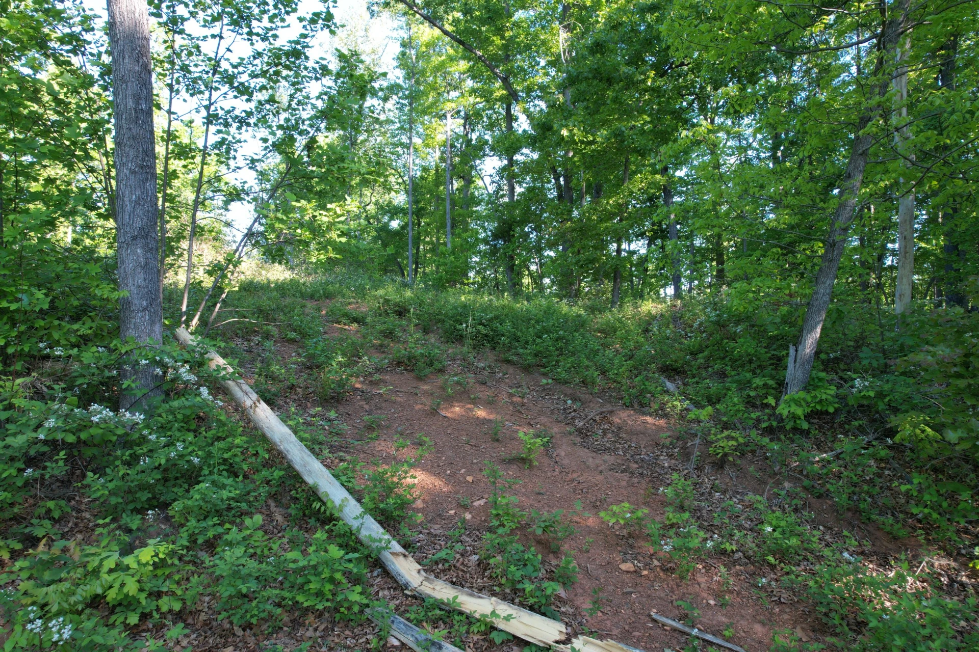 0 Webster RD - Photo 59