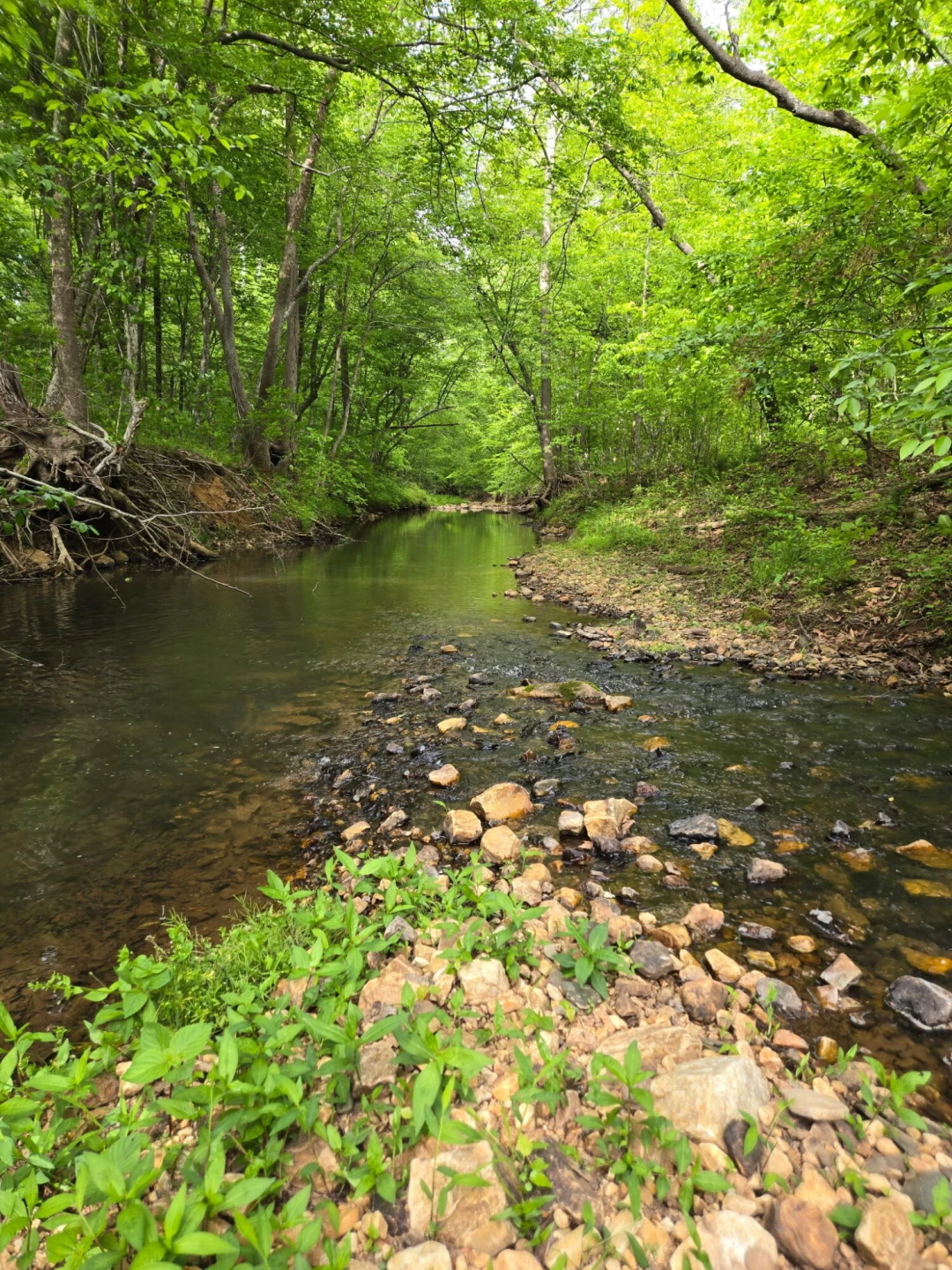 0 Webster RD - Photo 6
