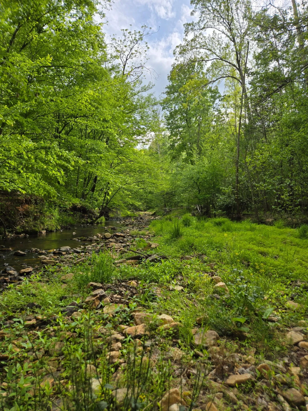 0 Webster RD - Photo 7