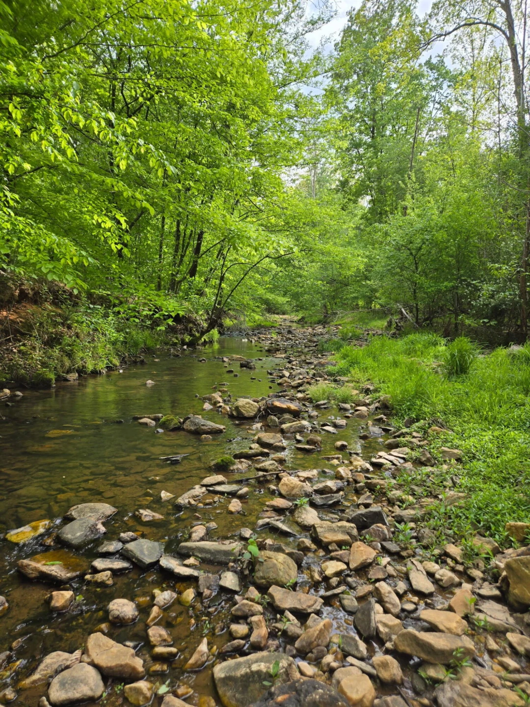 0 Webster RD - Photo 8