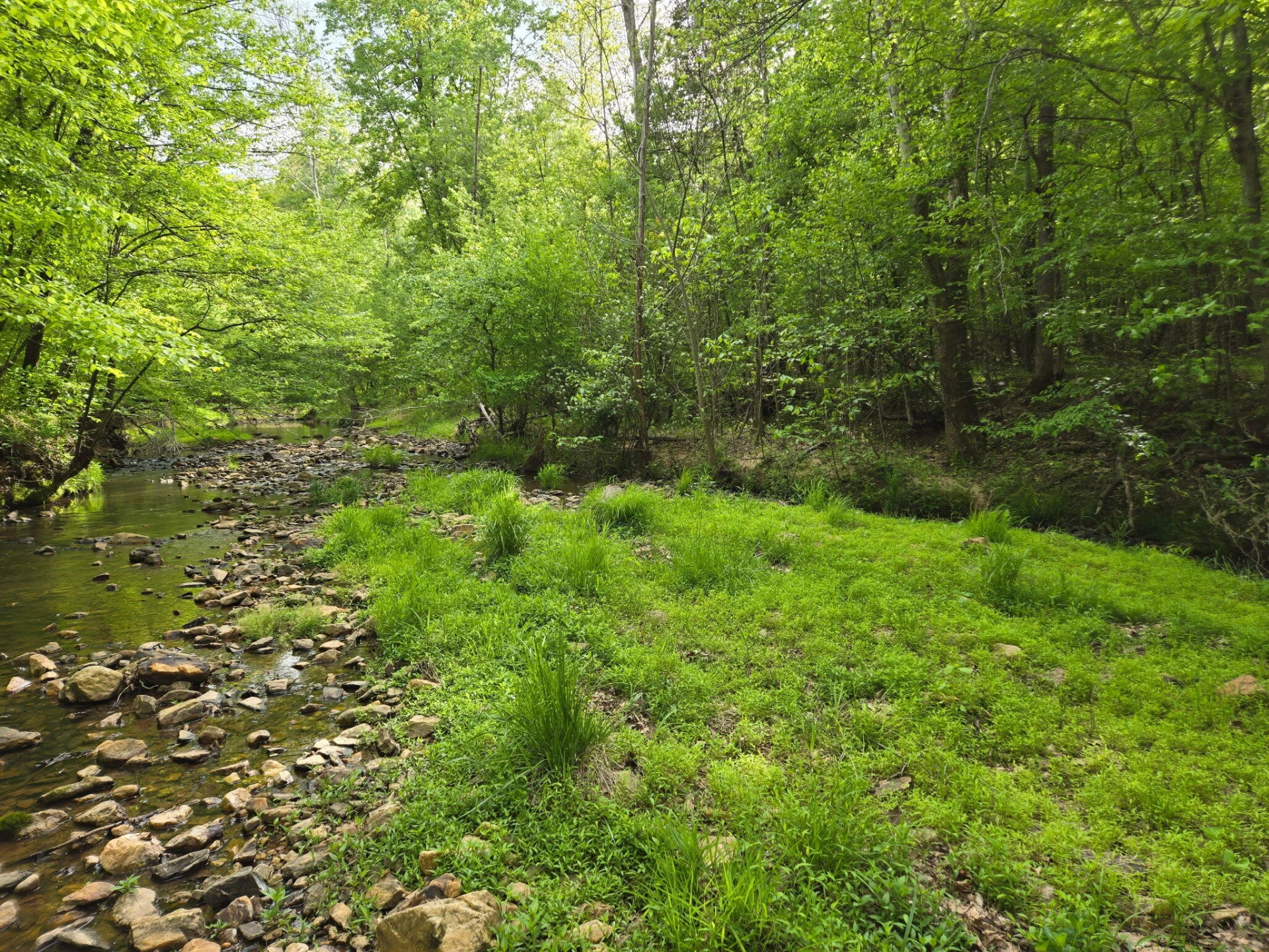 0 Webster RD - Photo 9