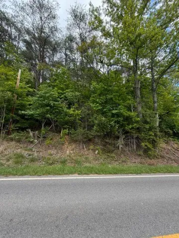 0 Grassy Hill RD, Boones Mill, VA, 24065