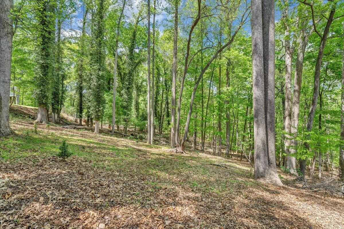 159 Lakeshore Terrace RD - Photo 55