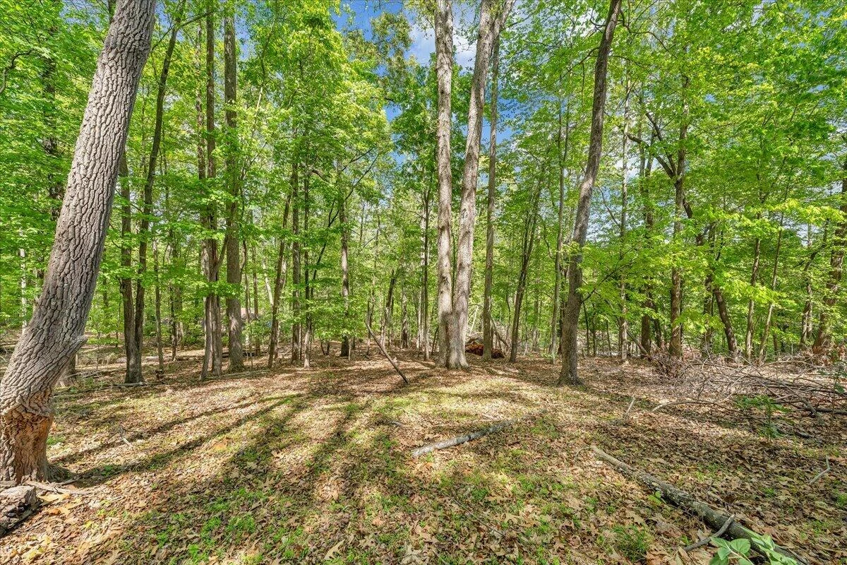 159 Lakeshore Terrace RD - Photo 56