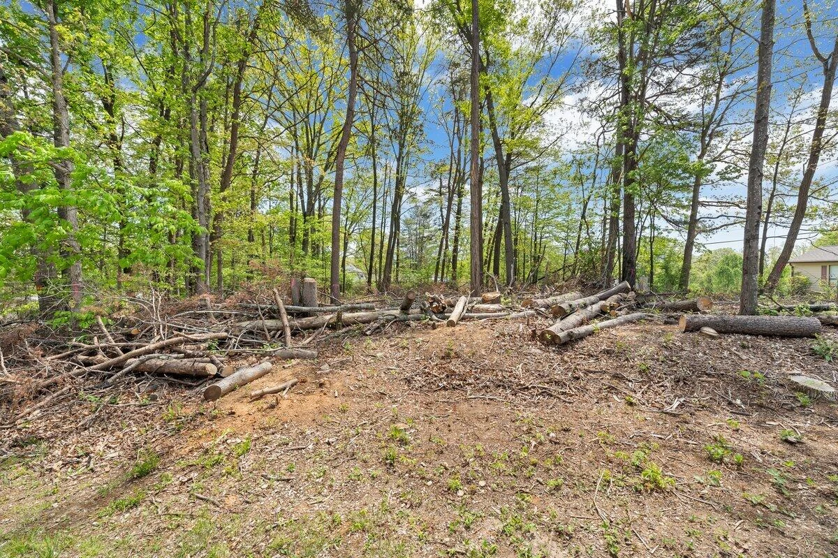 3713 Shelor AVE - Photo 3