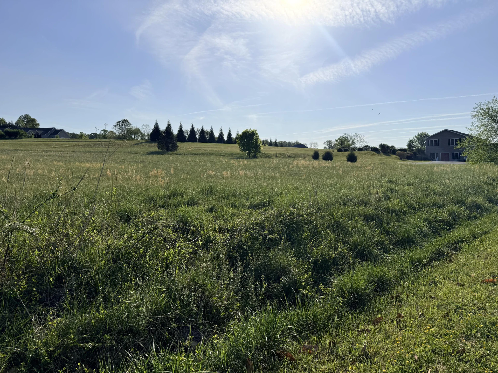 LOT 15 GREEN LEVEL RD - Photo 4