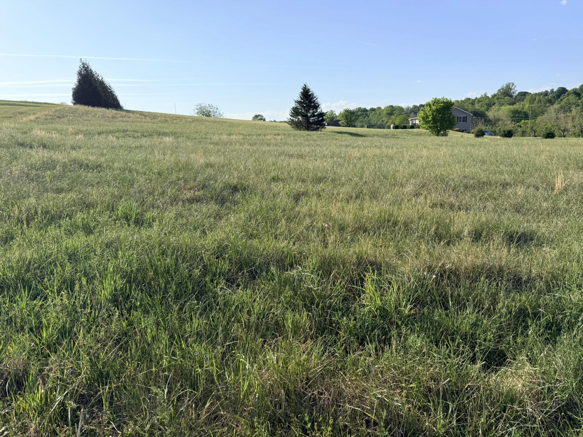 LOT 15 GREEN LEVEL RD - Photo 6