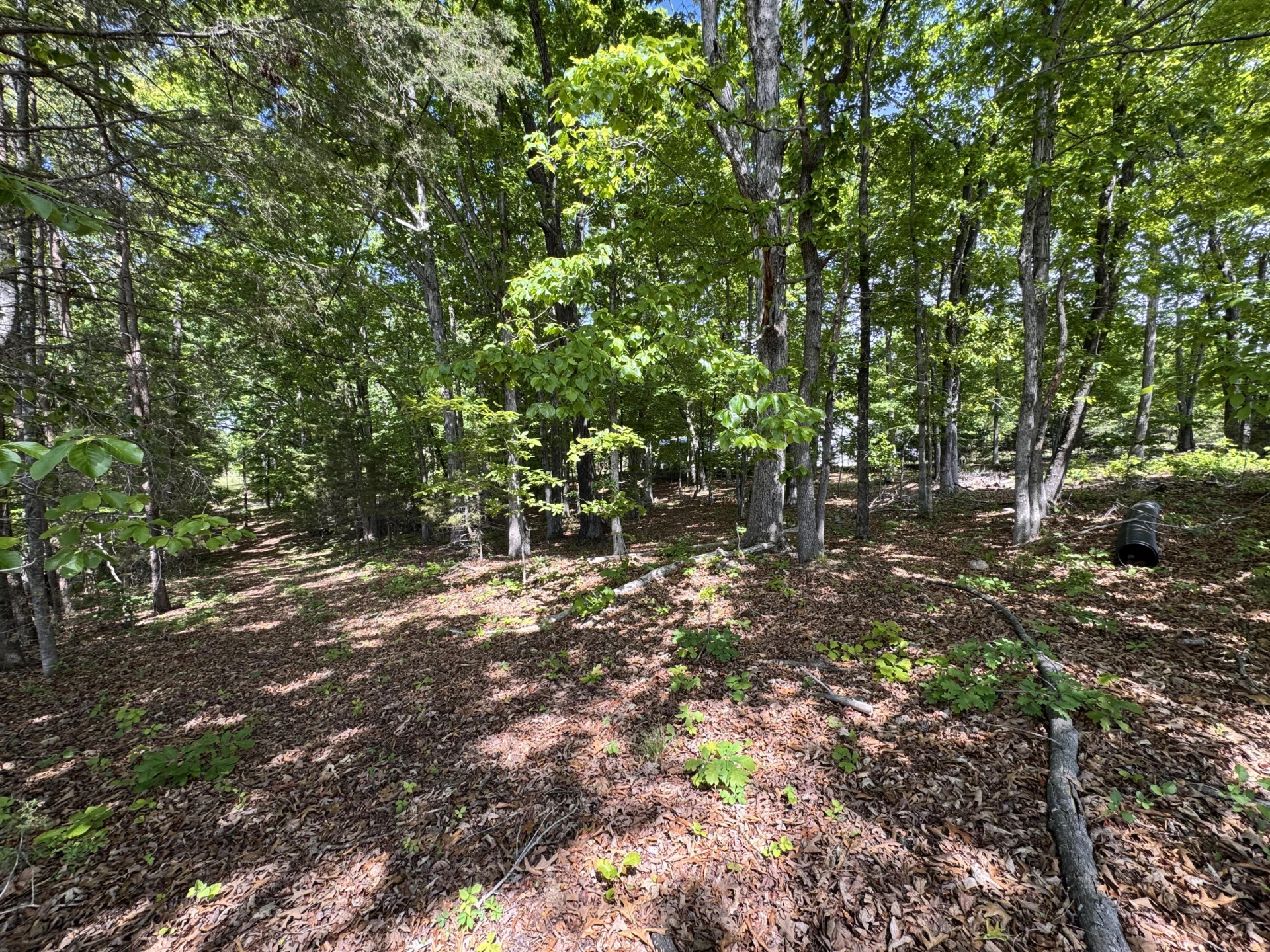 Lot 1 Quaker Church RD - Photo 5