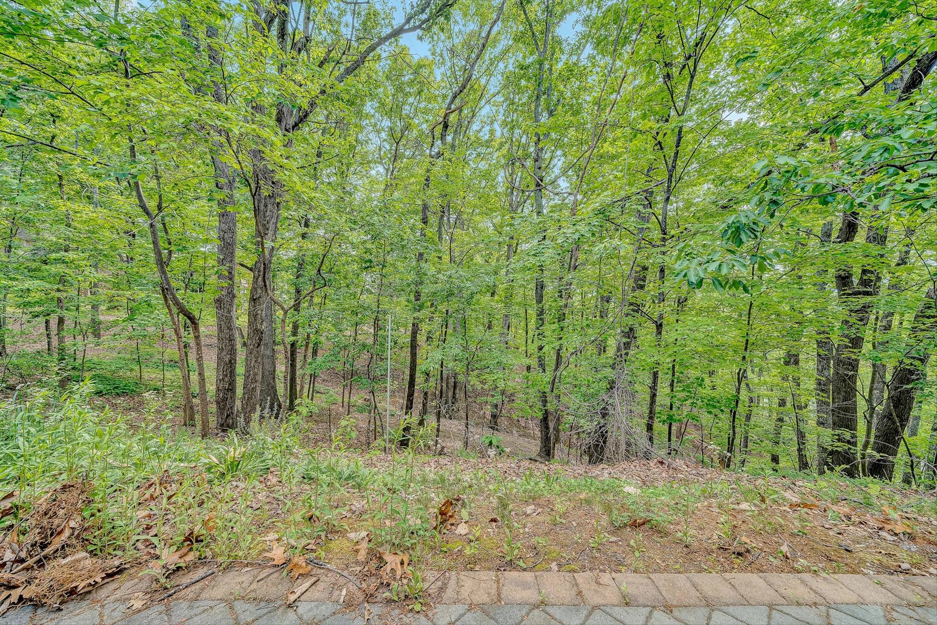 5206 Falcon Ridge RD - Photo 37