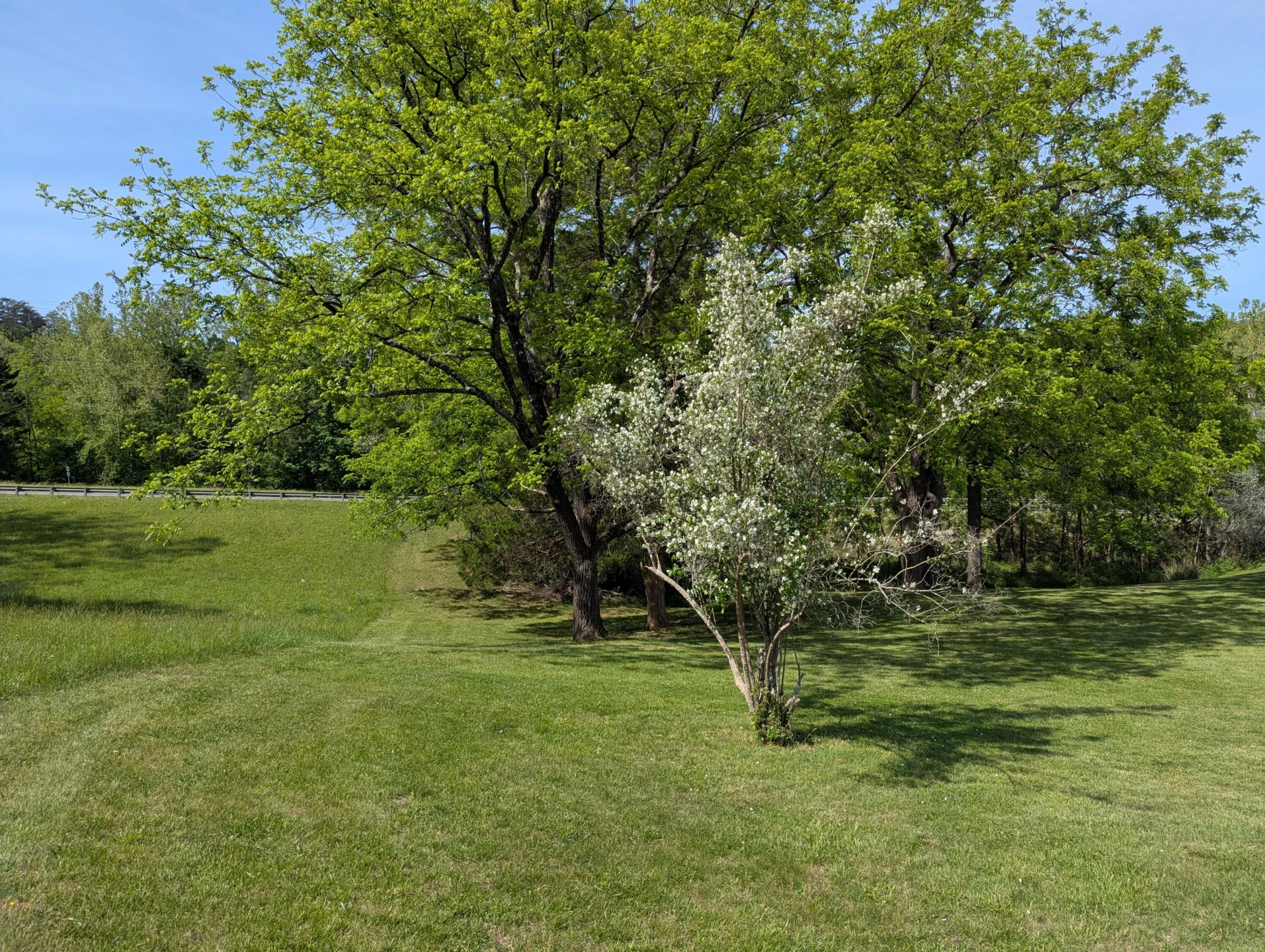 9720 Virgil H Goode HWY - Photo 5