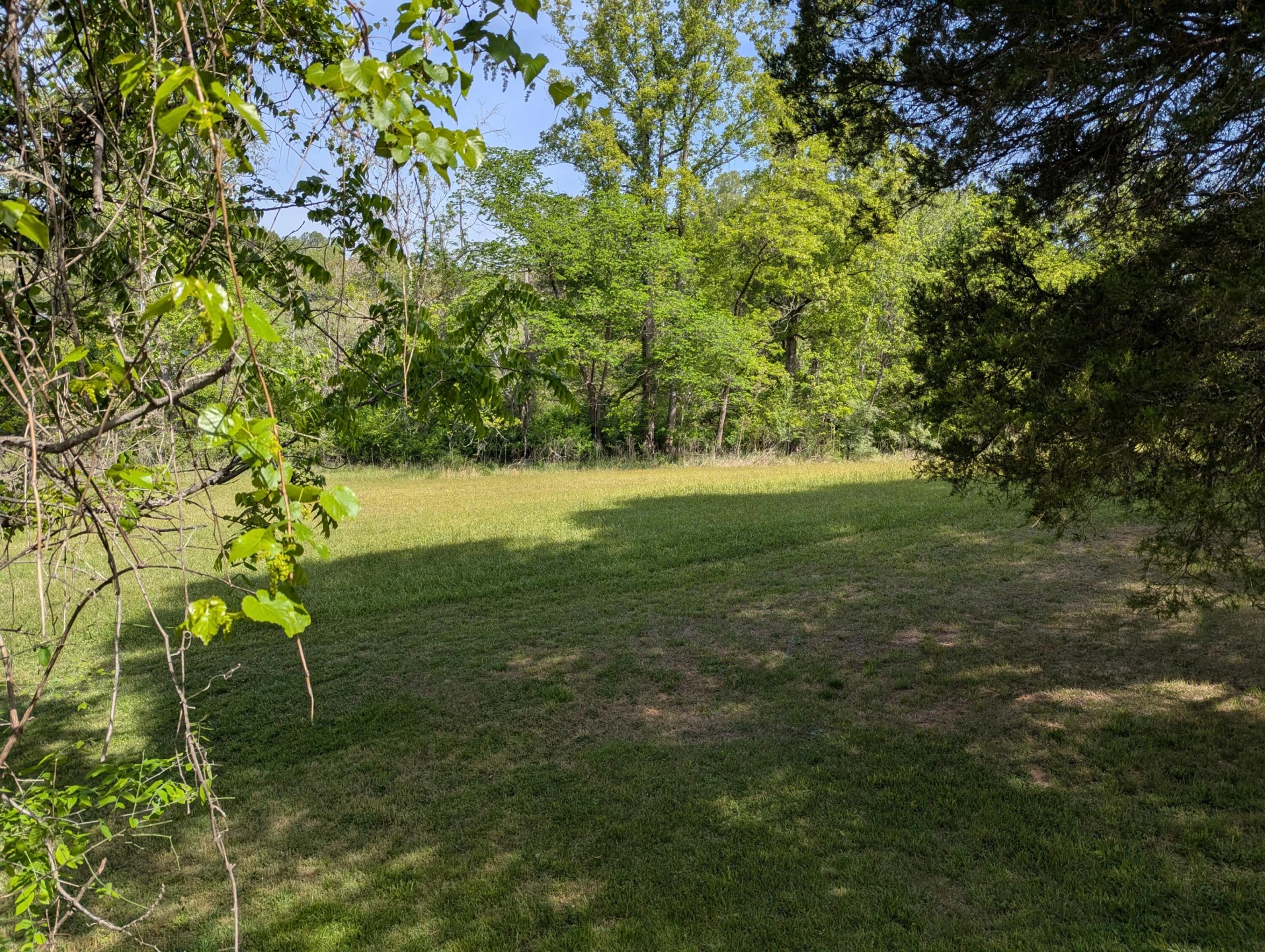 9720 Virgil H Goode HWY - Photo 7
