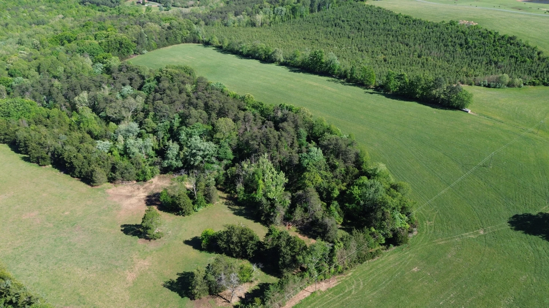 2556 Rock Cliff RD - Photo 14