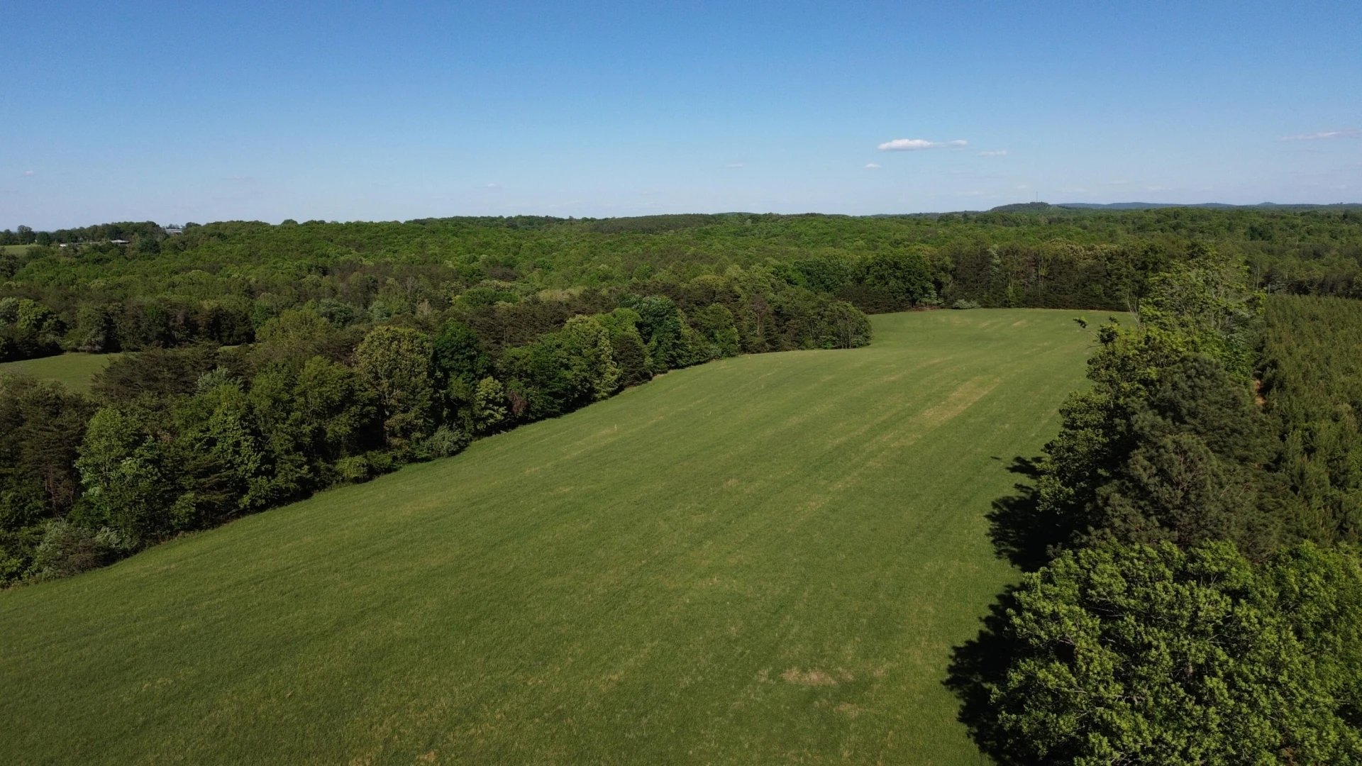 2556 Rock Cliff RD - Photo 15