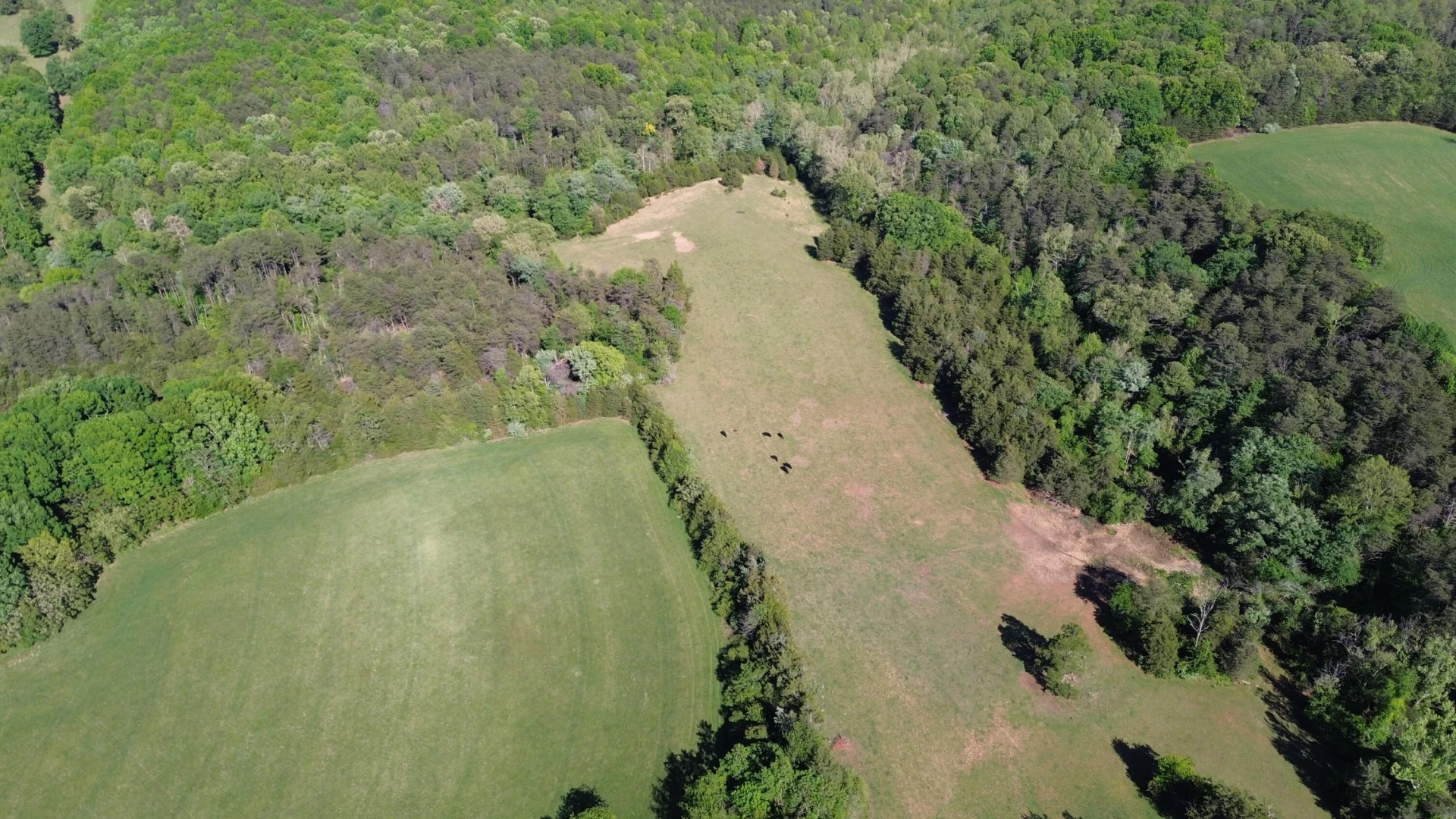 2556 Rock Cliff RD - Photo 16