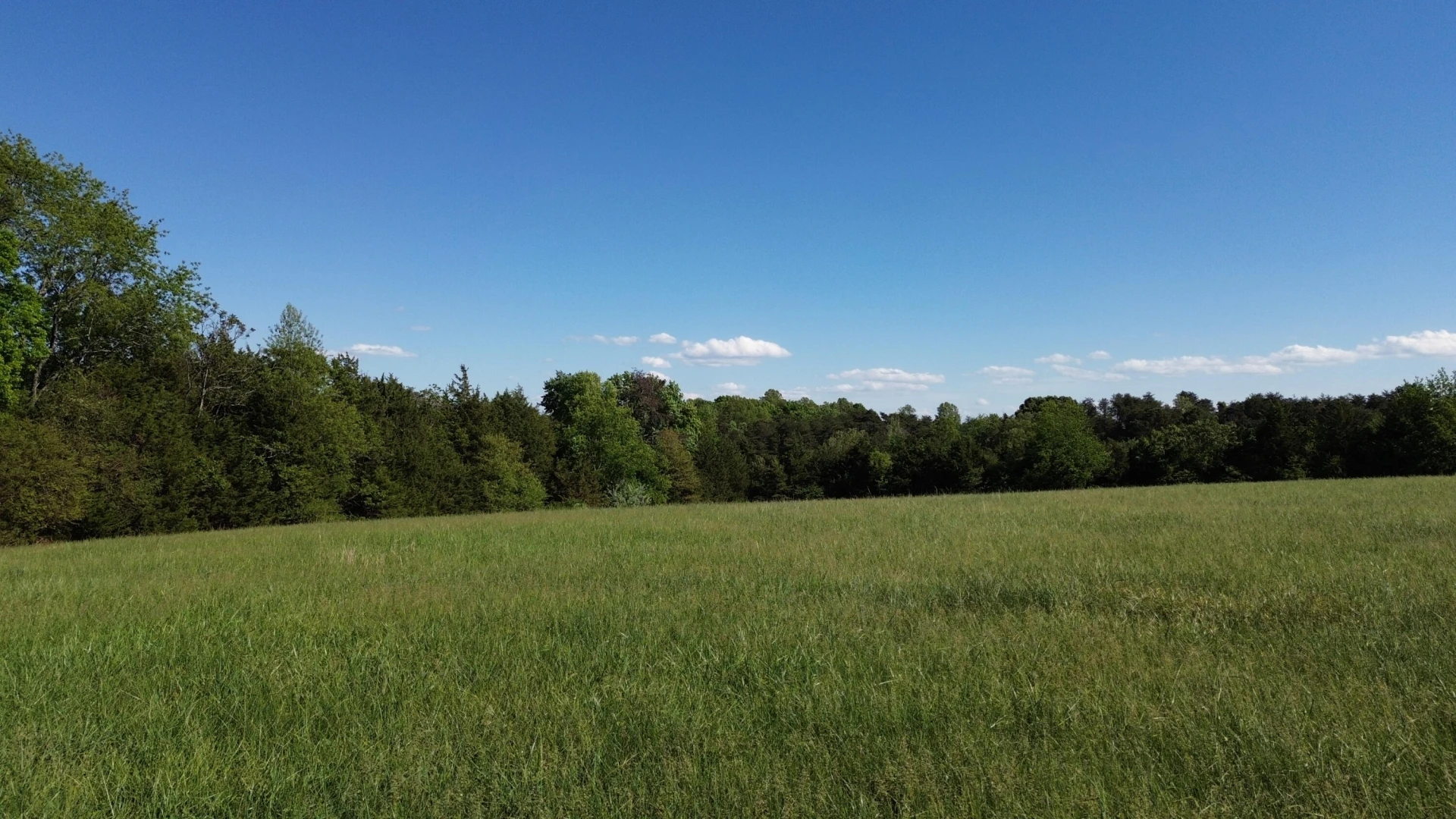 2556 Rock Cliff RD - Photo 17
