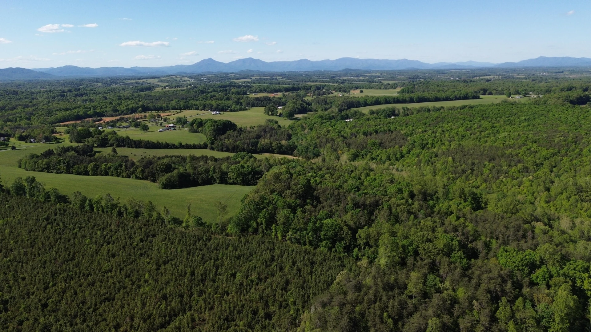 2556 Rock Cliff RD - Photo 3