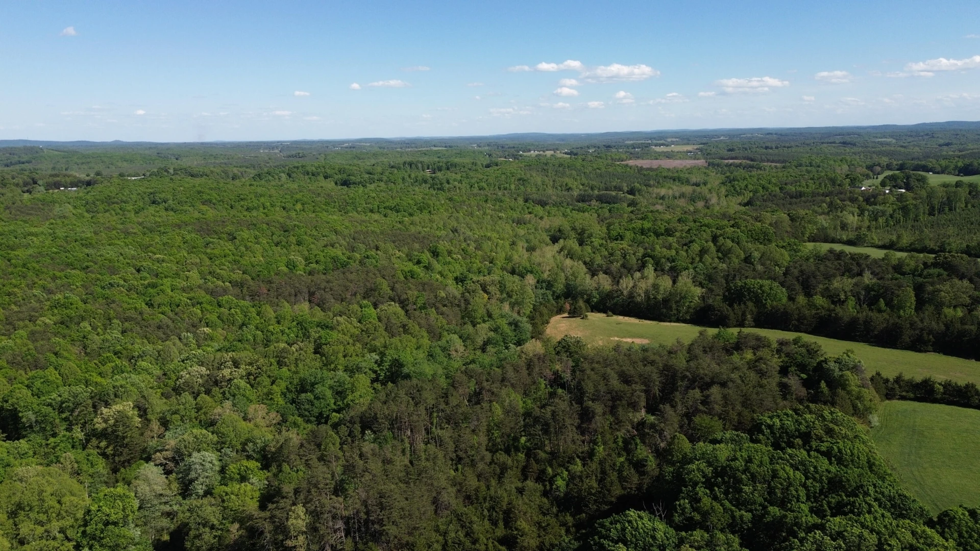 2556 Rock Cliff RD - Photo 20