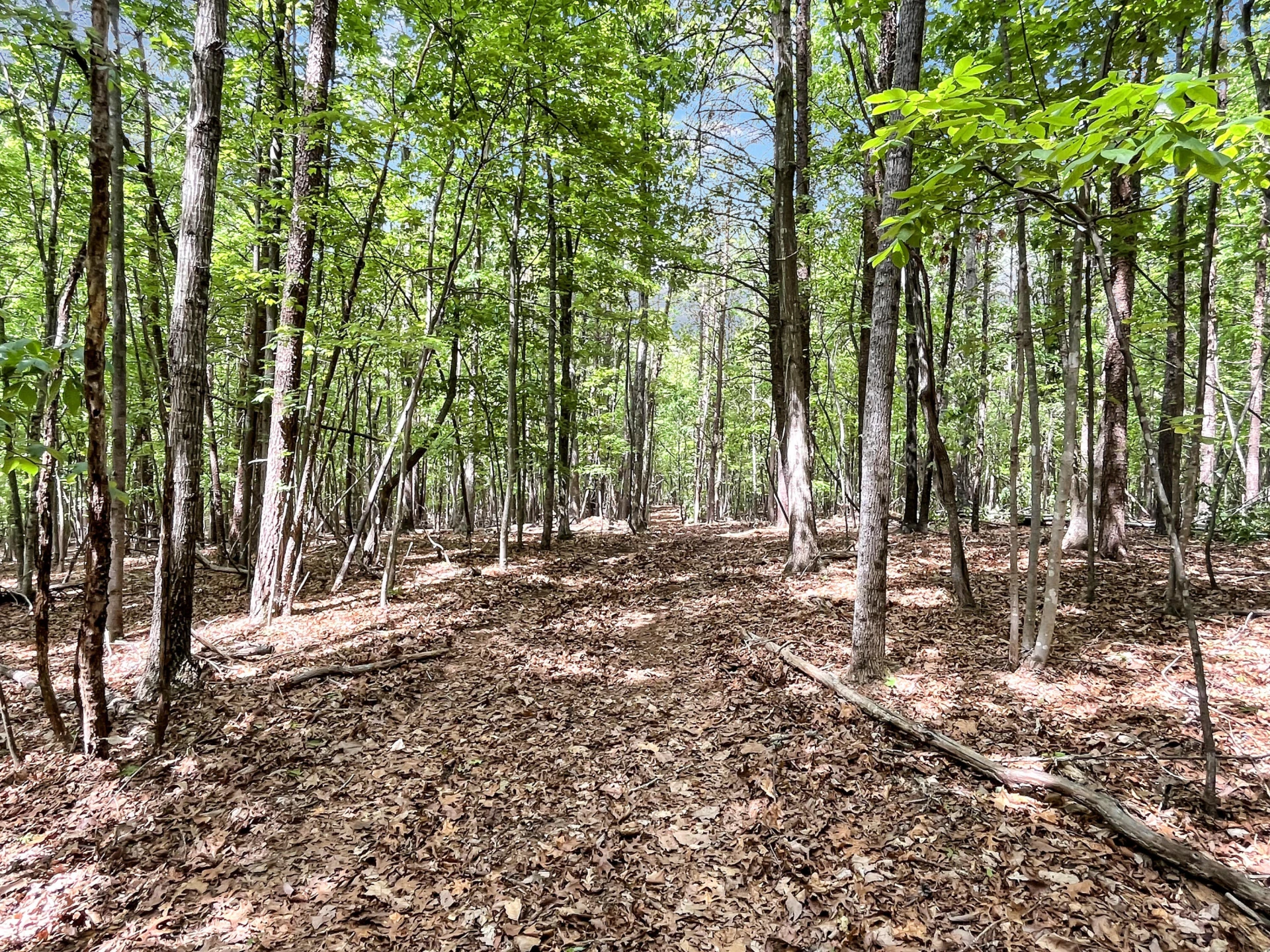 2556 Rock Cliff RD - Photo 22