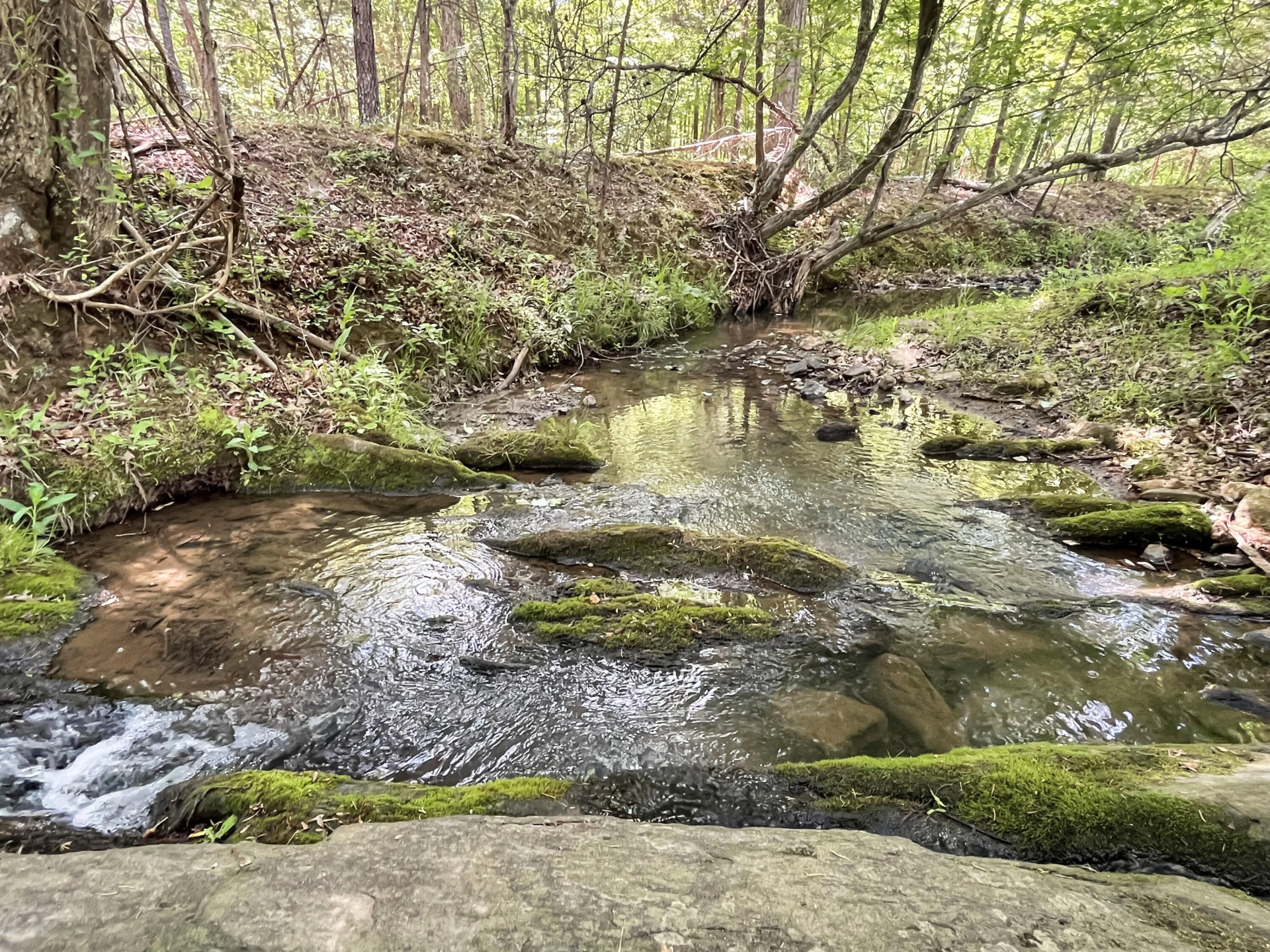 2556 Rock Cliff RD - Photo 24